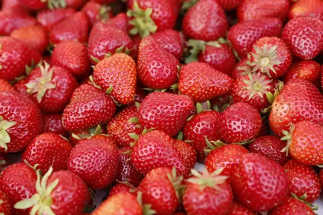 Flavonoids: Boost Immunity, Gut Health & Healthy Aging
