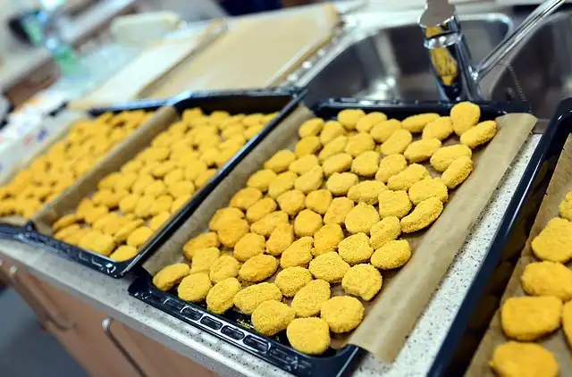 McDonald’s Nuggets: 100% Chicken… Or Is It?