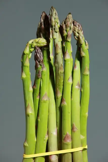 Processed Foods & Weight Gain: Research Findings