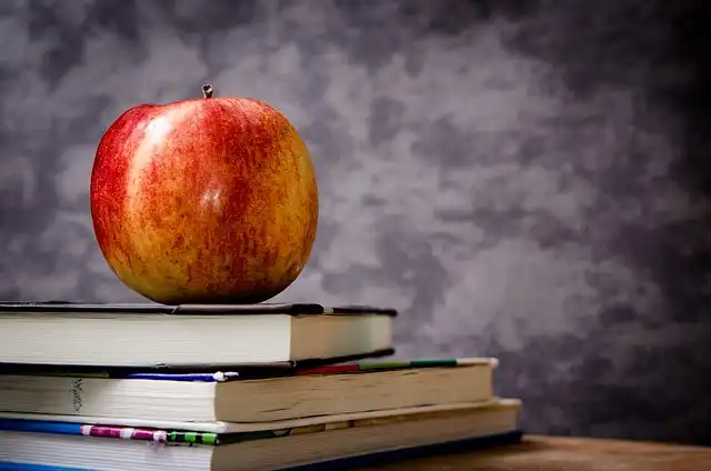 West Virginia Bans Artificial Dyes in School Food