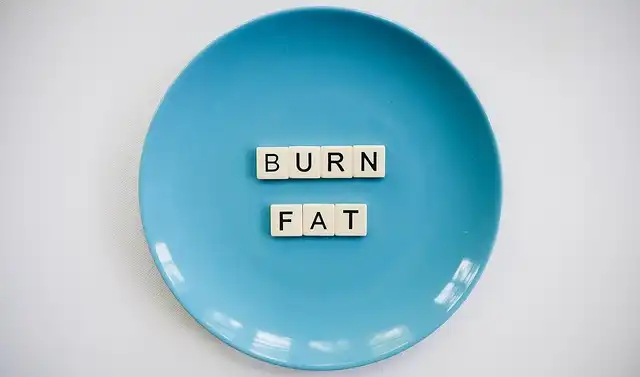 High-Fat Meal: Brain & Heart Health Risk