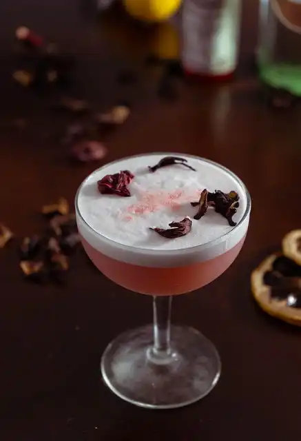Ki No Bi Gin: Japanese Craft & Global Expansion
