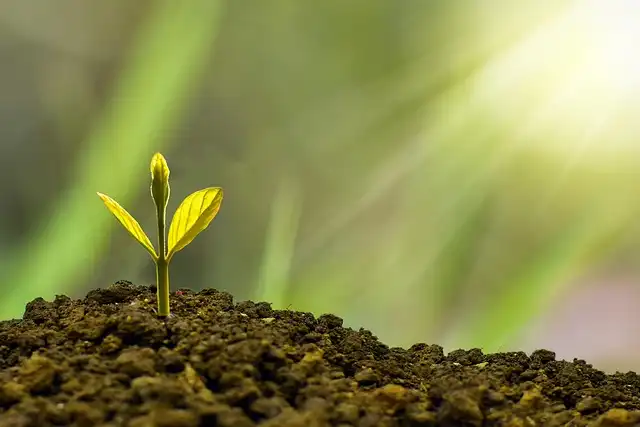 Indian Spirits Market Surge: Iconiq White Leads Growth